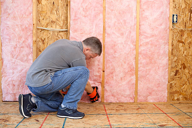 Best Energy-efficient Insulation  in Sterling City, TX