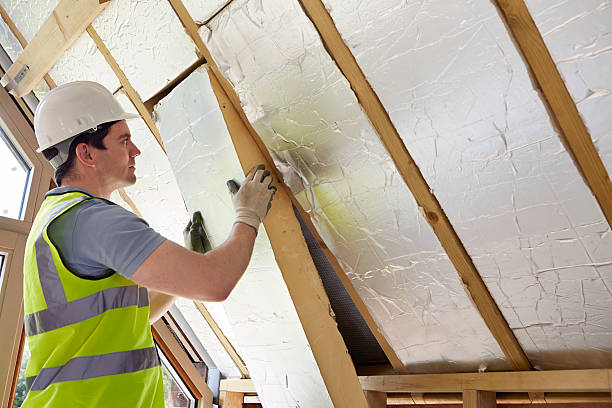 Best Insulation for New Construction  in Sterling City, TX